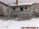 Žled na Srednjem, 3.2.2014