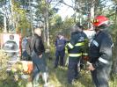 Vaja Veliki vrh 2011